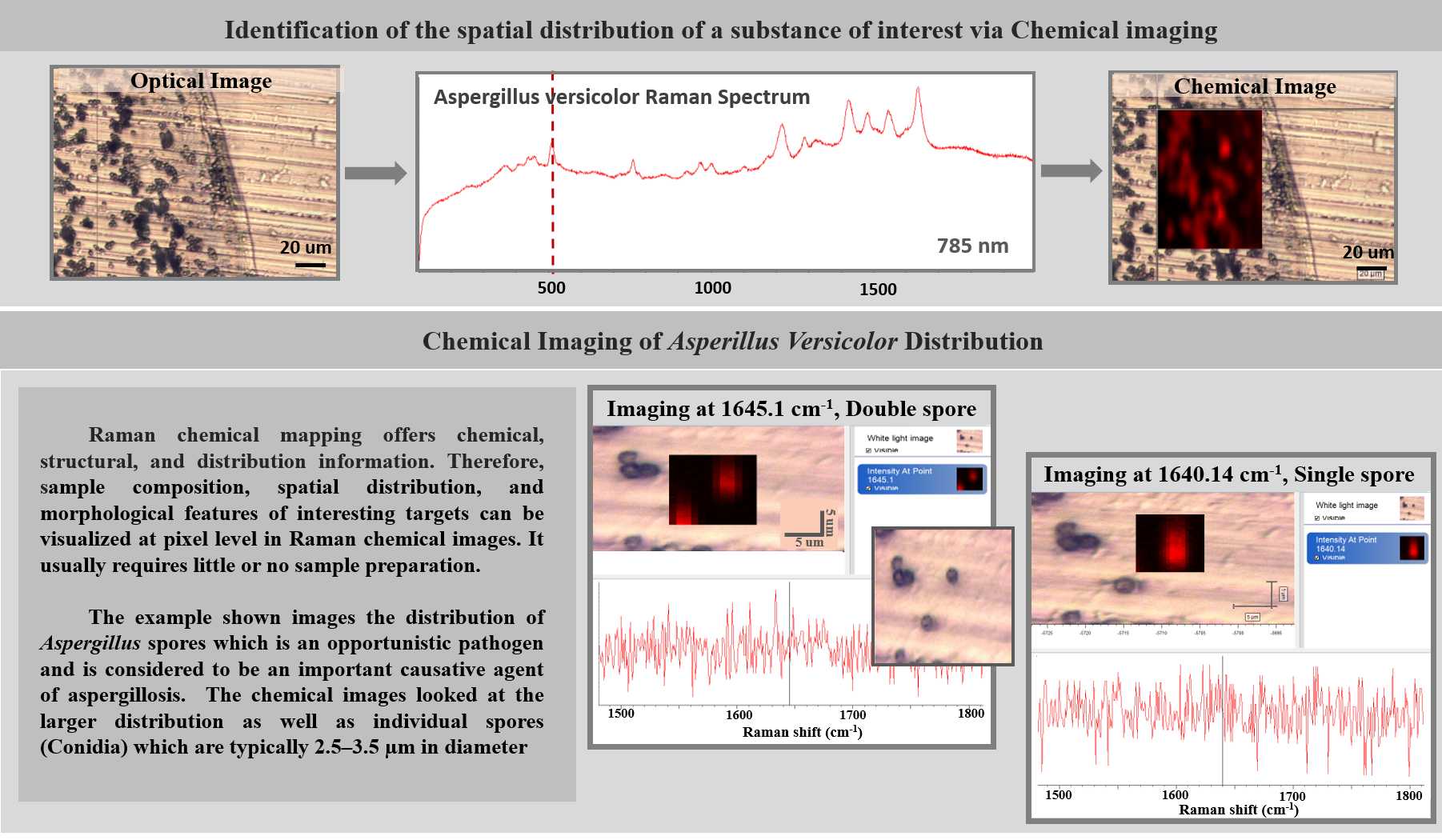 Chemical Mapping
